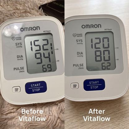 VitaFlow 24-Month Aged Garlic Extract